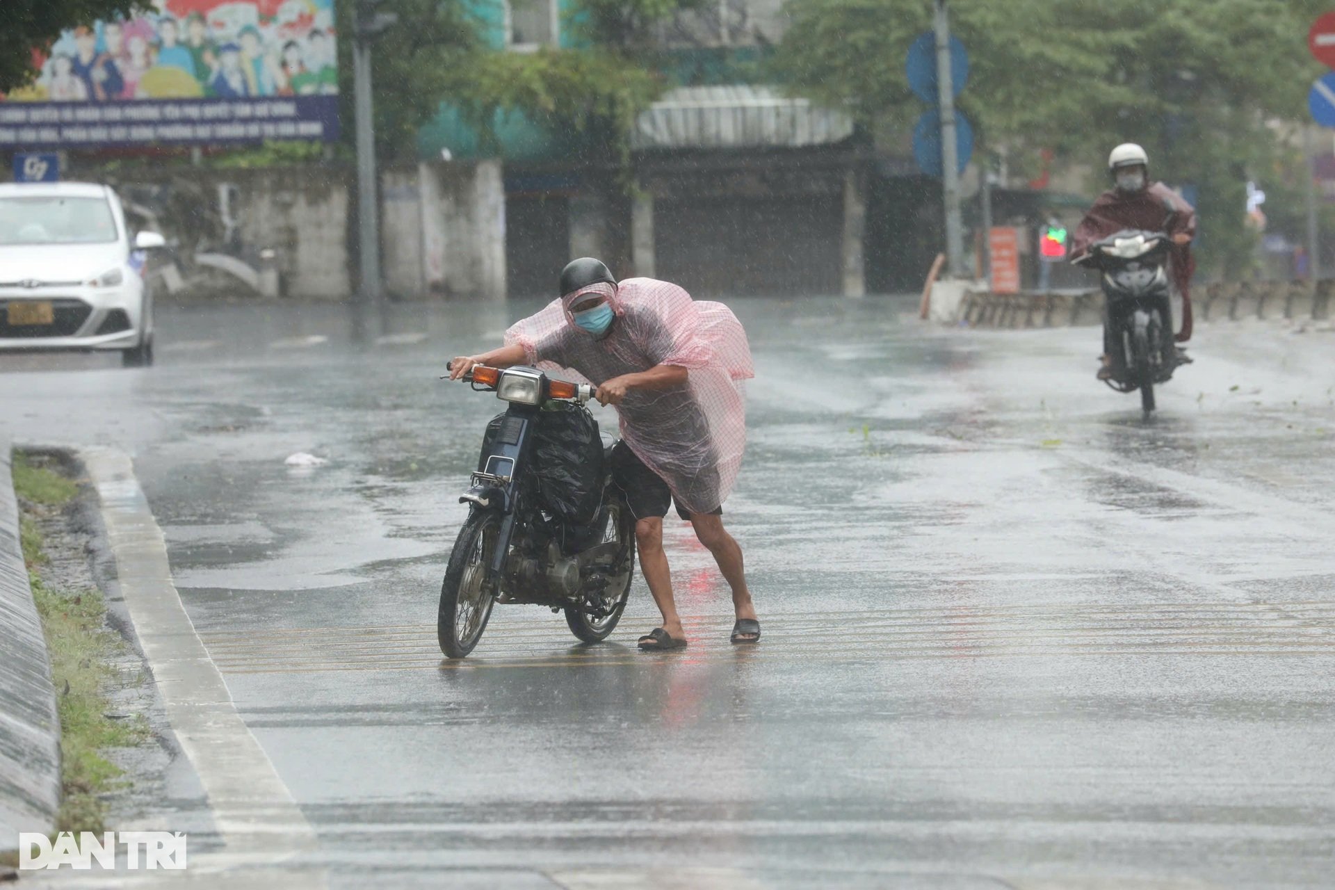 Hà Nội: Gió mạnh quật ngã người đi đường, cây xanh bật gốc đổ la liệt - 1