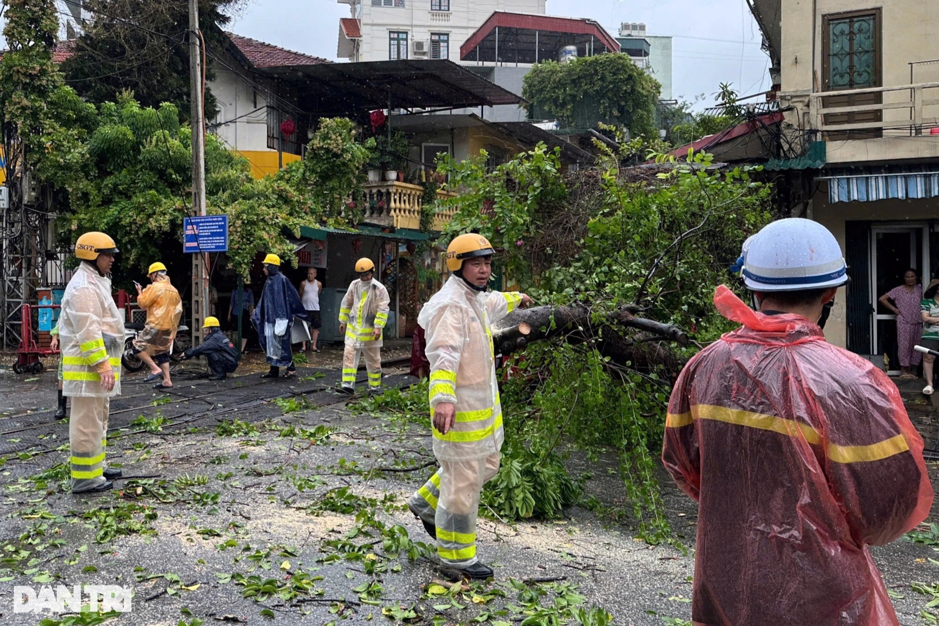 Hà Nội: Gió mạnh quật ngã người đi đường, cây xanh bật gốc đổ la liệt - 13