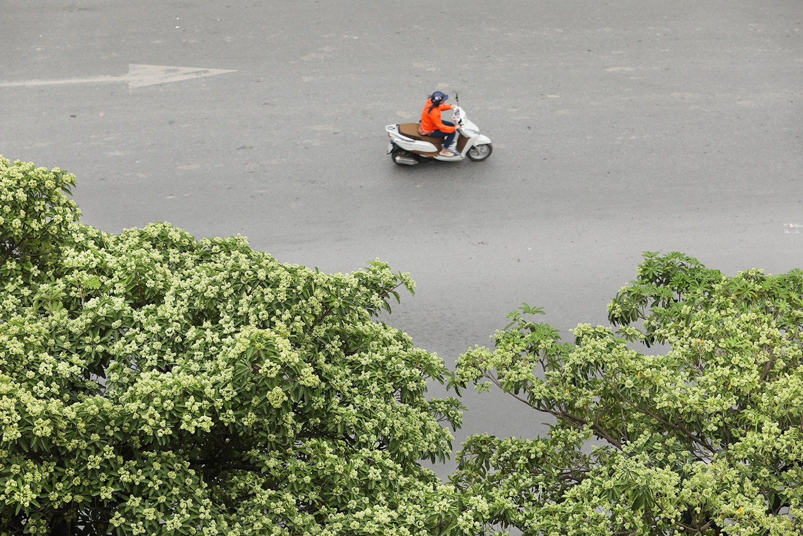 mua thu Ha Noi anh 21