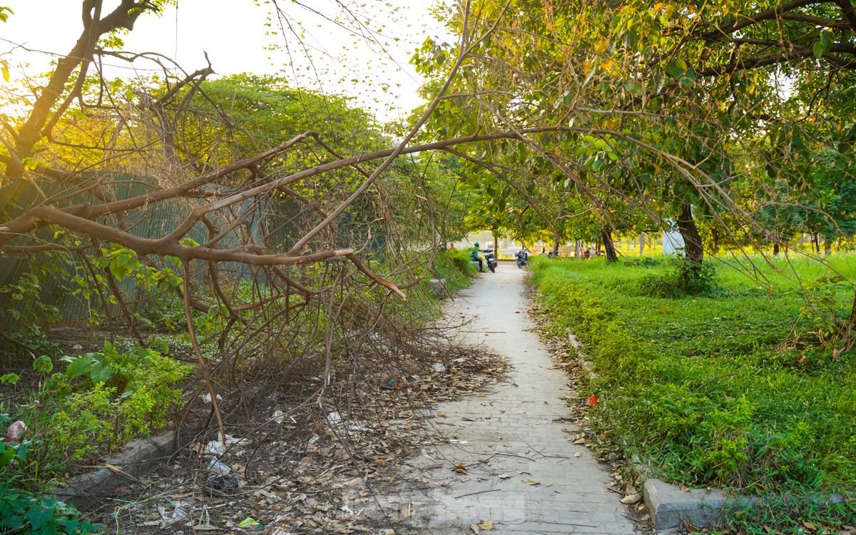 Cận cảnh hiện trạng xuống cấp của Công viên hồ điều hòa Mai Dịch ảnh 9