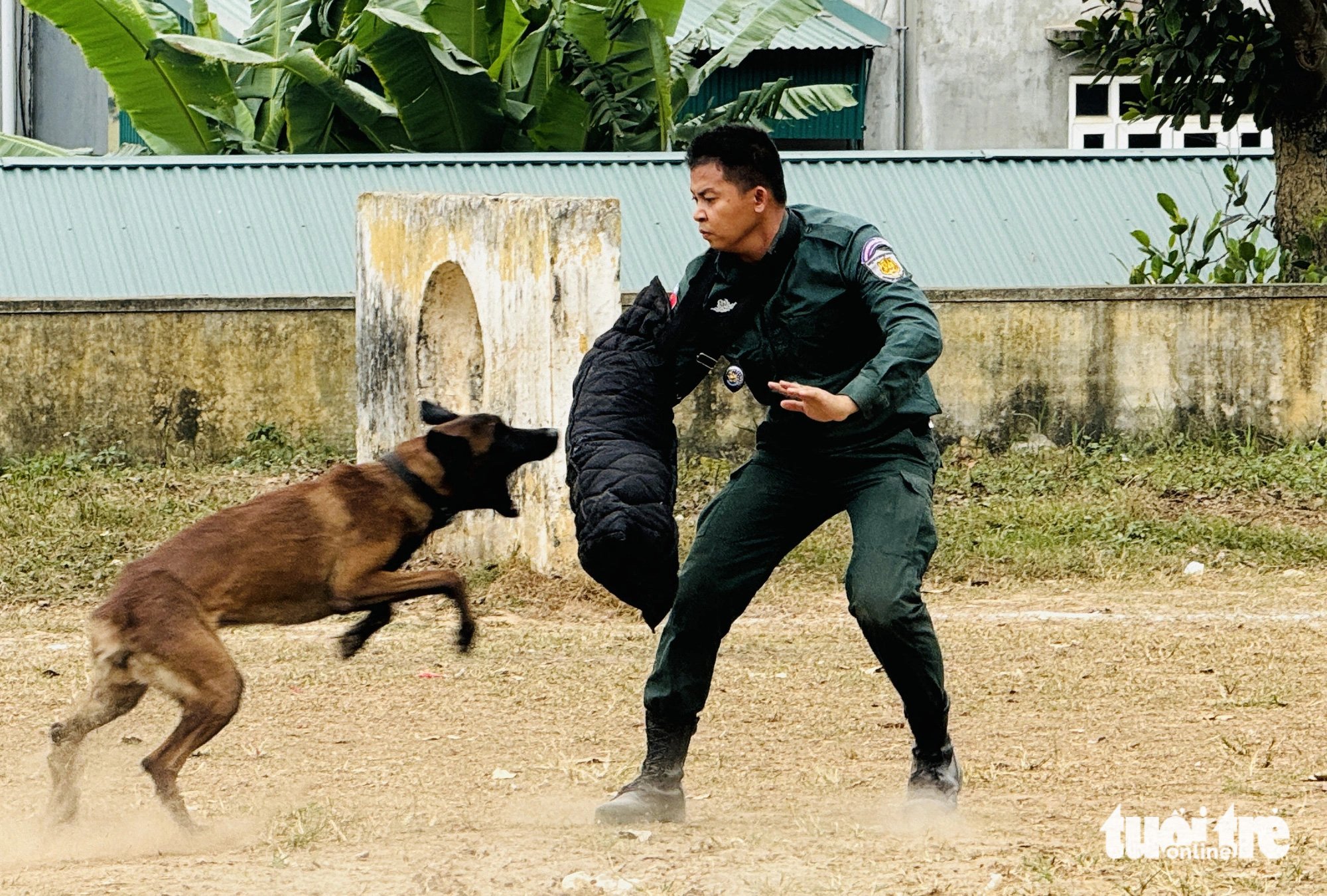 Cảnh sát Campuchia luyện tập huấn luyện chó nghiệp vụ trên thao trường Việt Nam - Ảnh 1.