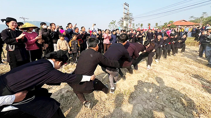 UNESCO hỗ trợ bảo vệ Vịnh Hạ Long - Quần đảo Cát Bà ảnh 1