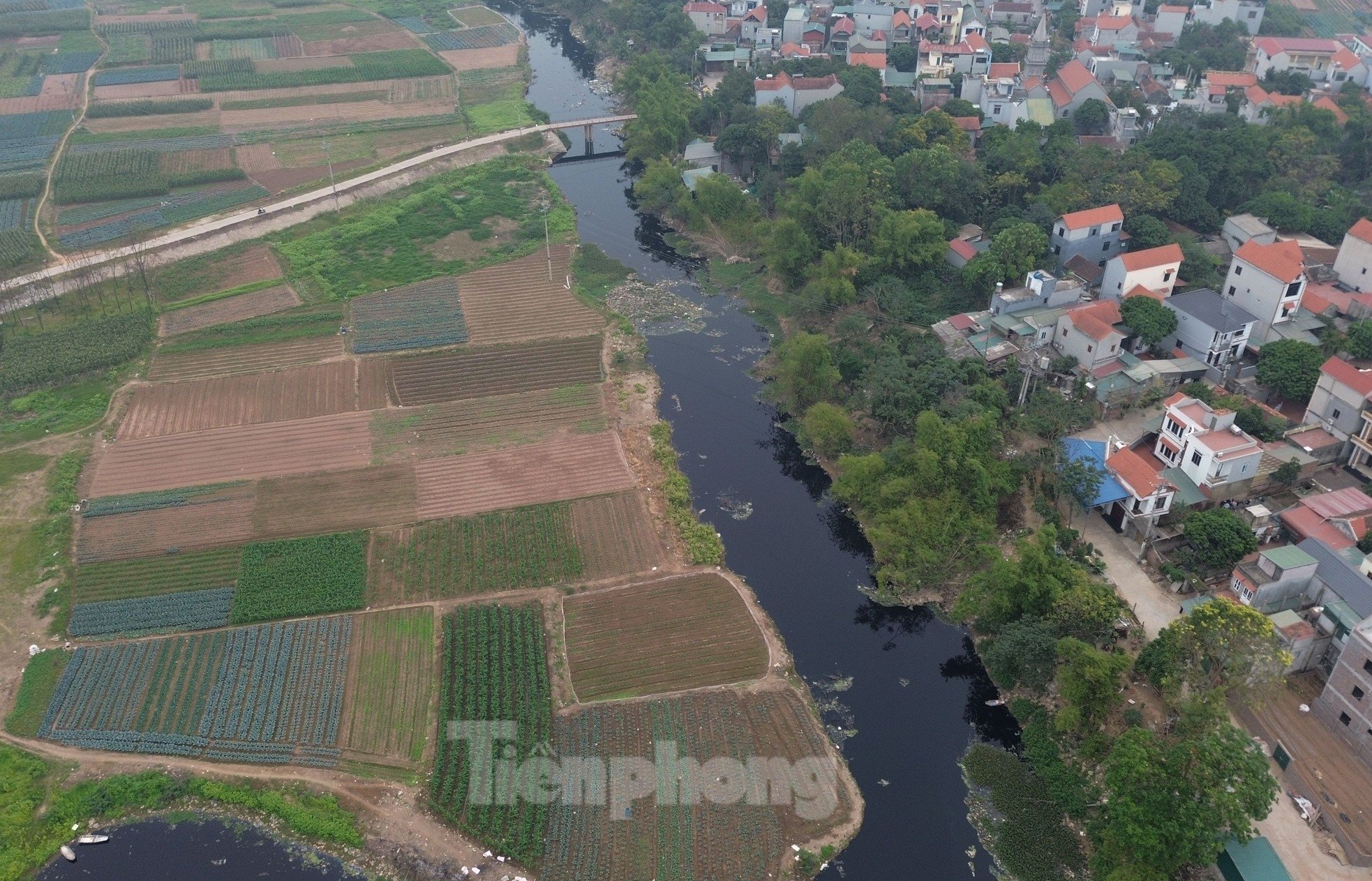 Hà Nội: Cận cảnh nước thải đen kịt đổ vào sông Đáy ảnh 1