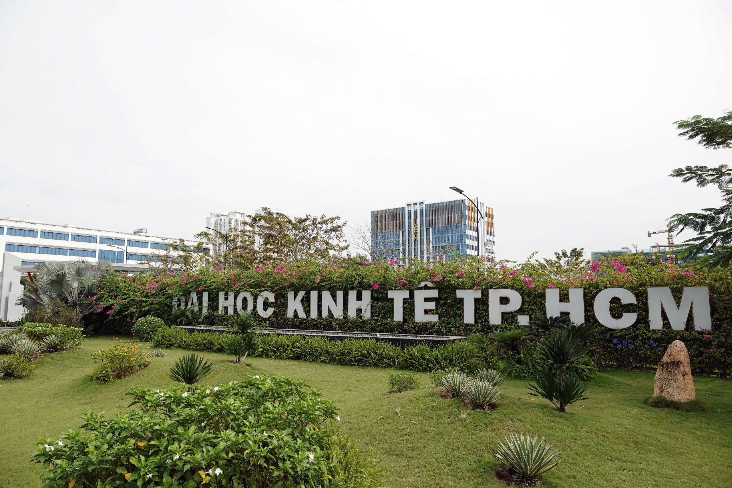 Để tránh nhầm 'đại học' với 'trường đại học' - Ảnh 1.