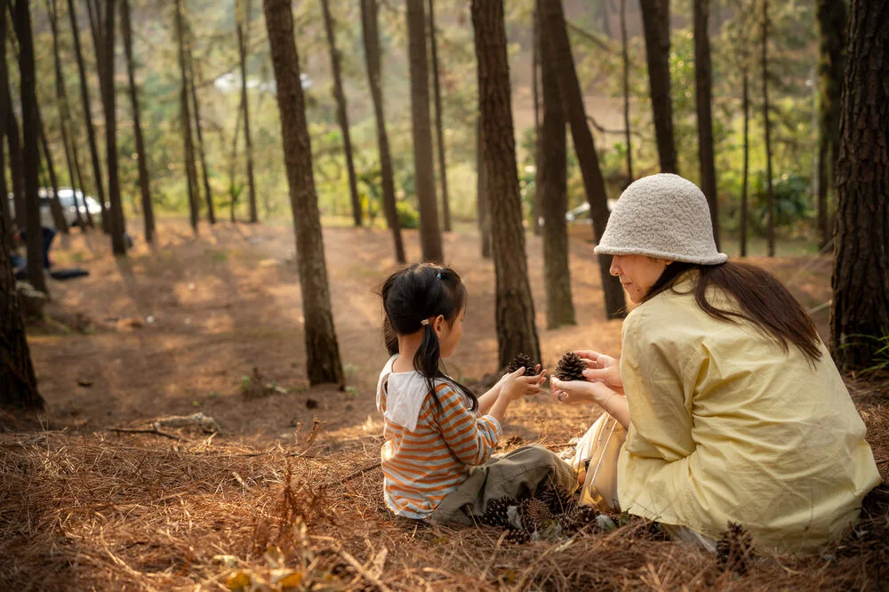 Núi Hàm Lợn nằm tại huyện Sóc Sơn, Hà Nội là một trong những địa điểm trekking cũng như dã ngoại dịp cuối tuần phù hợp với nhóm bạn hay gia đình trẻ muốn thư giãn, gần gũi với thiên nhiên nhưng không cần đi quá xa. Ảnh: NVCC