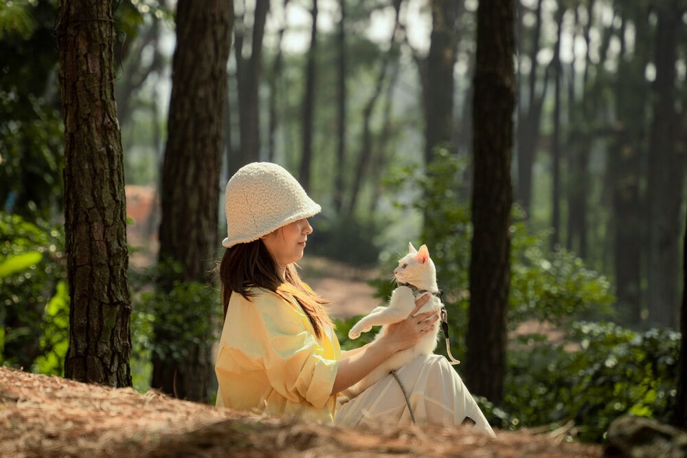 Theo anh Nhật, núi Hàm Lợn còn hoang sơ, không khí trong lành, dễ chịu. Ngoài rừng thông với khung cảnh đẹp không kém Đà Lạt, tại đây còn có hồ Hàm Lợn cũng là điểm “sống ảo” lý tưởng. Ảnh: NVCC