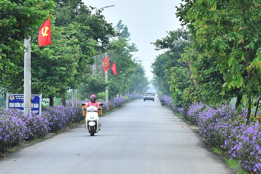 doan-duong.jpg