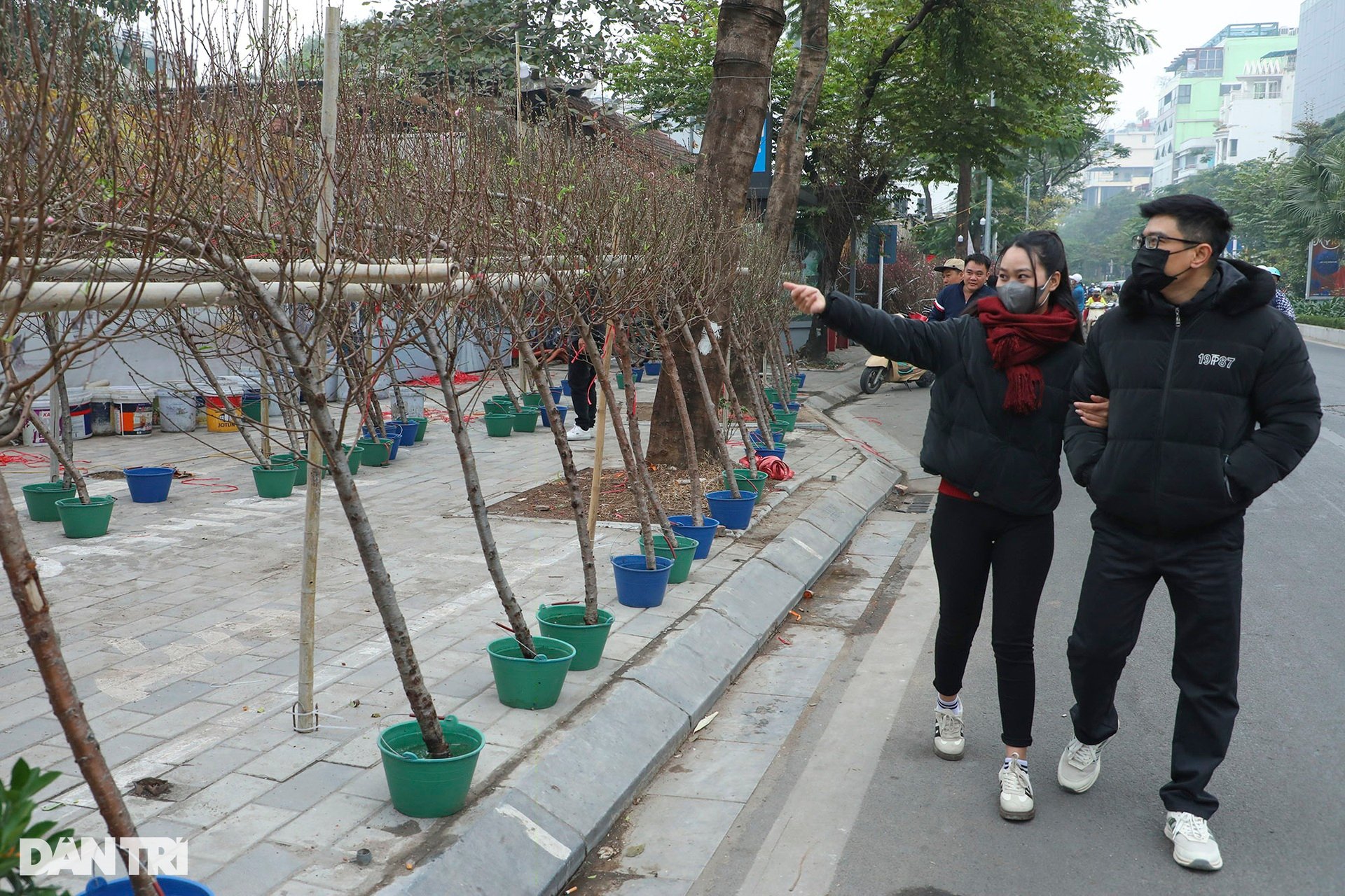 Nhộn nhịp chợ hoa Tết đường Lạc Long Quân - 1