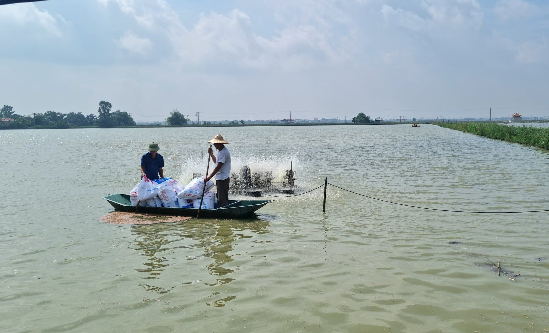 mo-hinh-nuoi-ca-theo-tieu-chuan-vietgap-o-xa-van-thang-huyen-ba-vi-cho-hieu-qua-kinh-te-cao-va-giup-bao-ve-moi-truong.-anh-trung-nguyen.jpg