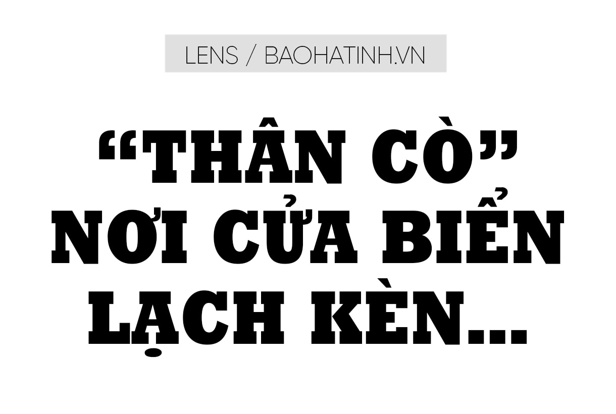 “Thân cò” nơi cửa biển Lạch Kèn…