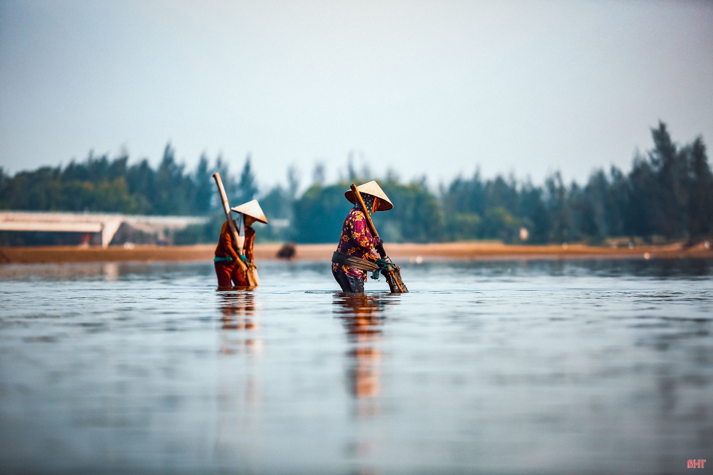 “Thân cò” nơi cửa biển Lạch Kèn…