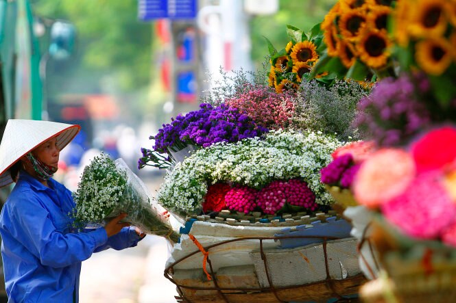 Dịu dàng tháng tám