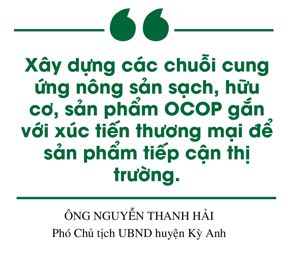 Xây dựng NTM ở Hà Tĩnh: Đi vào chiều sâu, hiệu quả và bền vững (bài 2): Phát triển kinh tế nông thôn theo hướng hiện đại, hội nhập