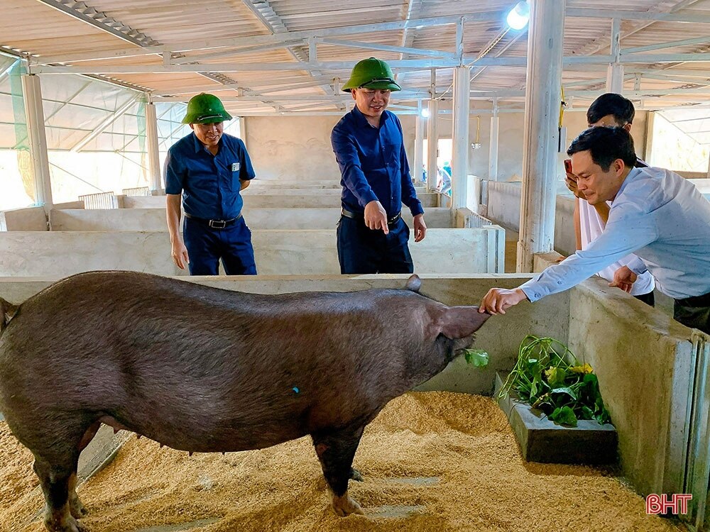 Xây dựng NTM ở Hà Tĩnh: Đi vào chiều sâu, hiệu quả và bền vững (bài 2): Phát triển kinh tế nông thôn theo hướng hiện đại, hội nhập