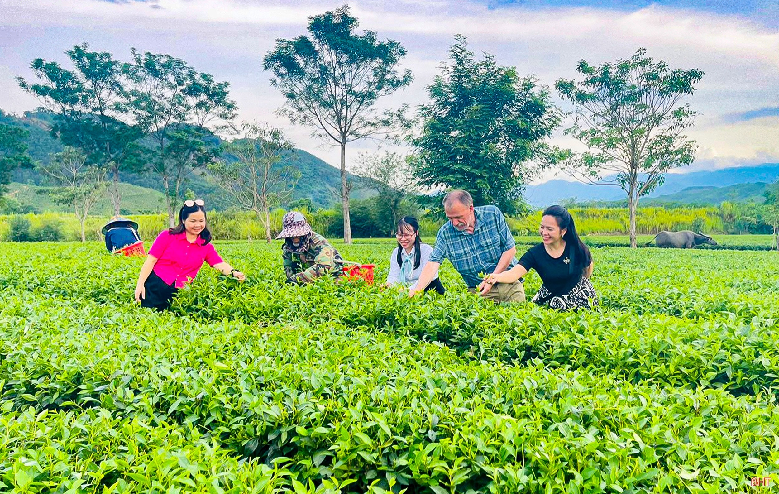 Xây dựng NTM ở Hà Tĩnh: Đi vào chiều sâu, hiệu quả và bền vững (bài 2): Phát triển kinh tế nông thôn theo hướng hiện đại, hội nhập