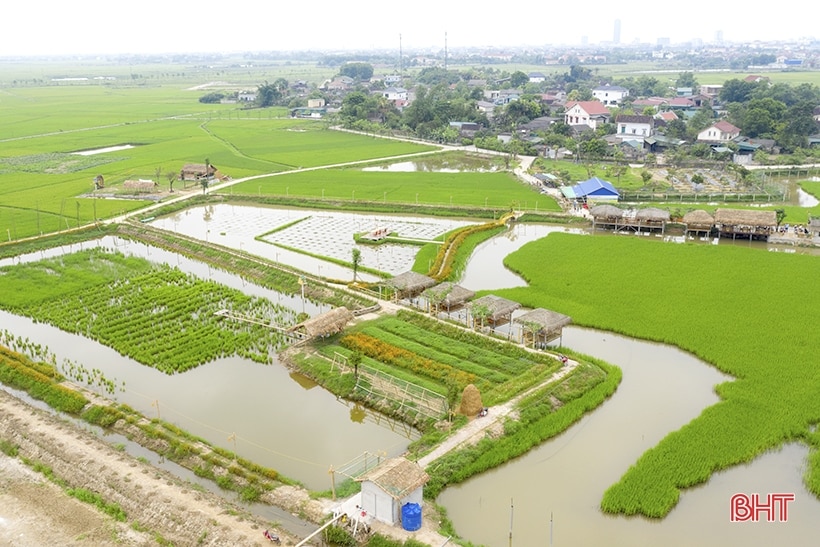 Xây dựng NTM ở Hà Tĩnh: Đi vào chiều sâu, hiệu quả và bền vững (bài 2): Phát triển kinh tế nông thôn theo hướng hiện đại, hội nhập