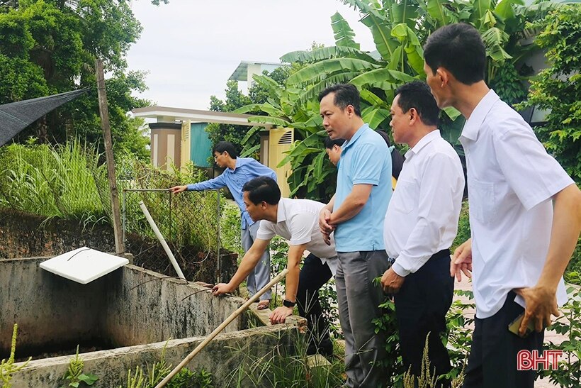 Triển vọng mới từ khởi nghiệp nuôi ếch Thái Lan ở Thạch Hà