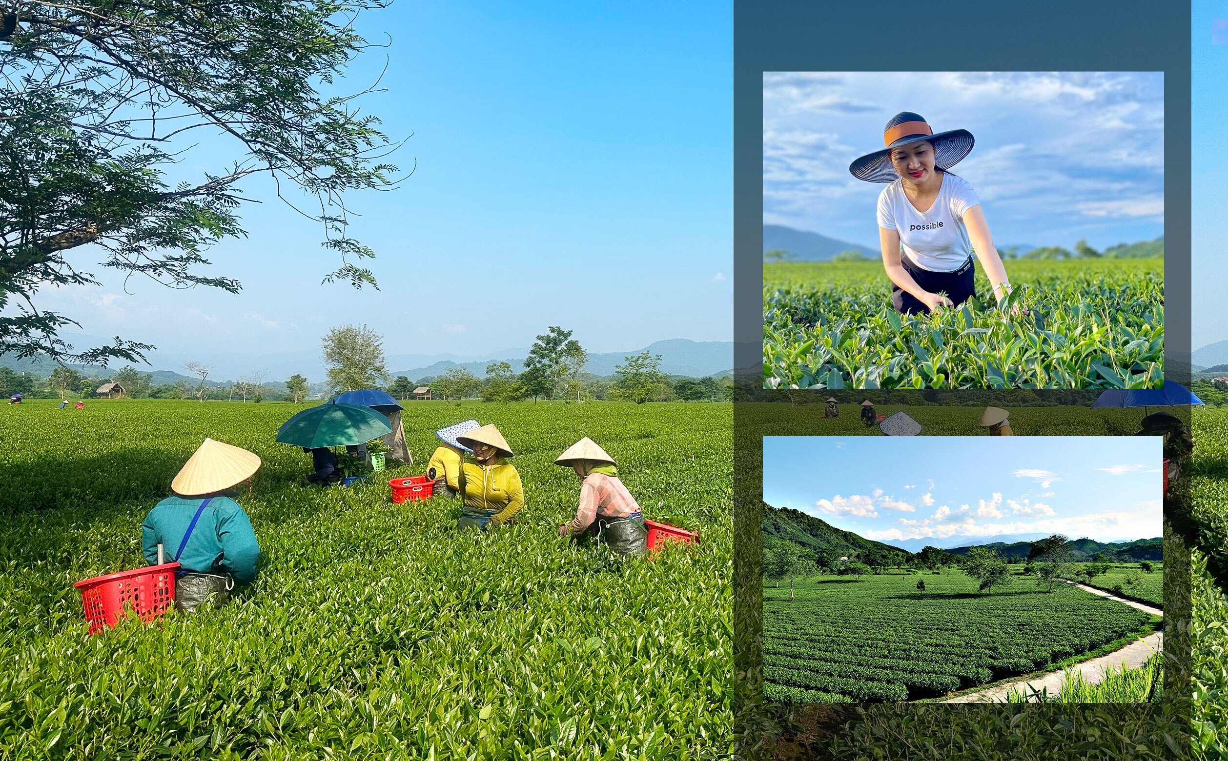 Xây dựng NTM ở Hà Tĩnh: Đi vào chiều sâu, hiệu quả và bền vững (Bài 3): Kiên trì mục tiêu nông thôn hiện đại, bình yên, giàu bản sắc