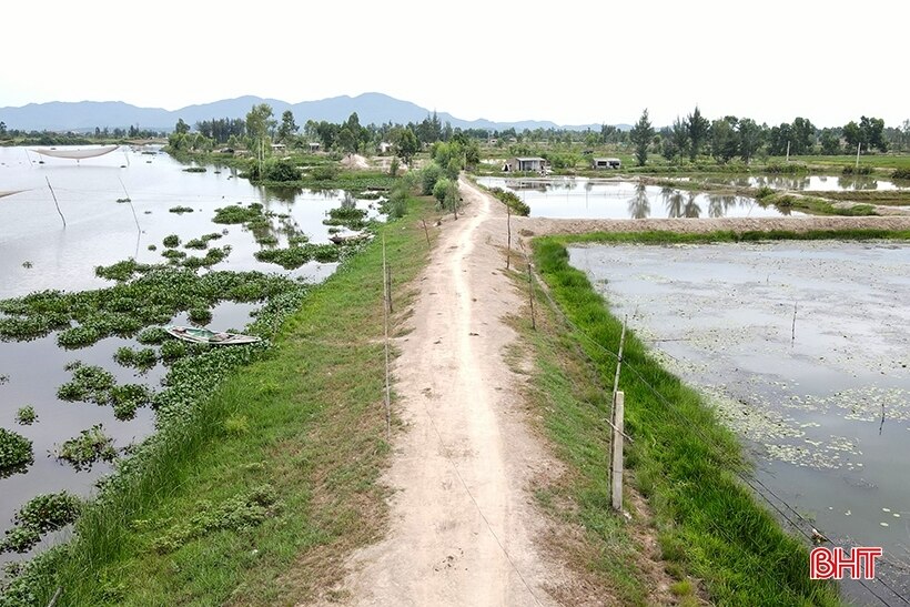 Đê bao xuống cấp, người nuôi trồng thủy sản Thạch Hà bất an mùa mưa lũ