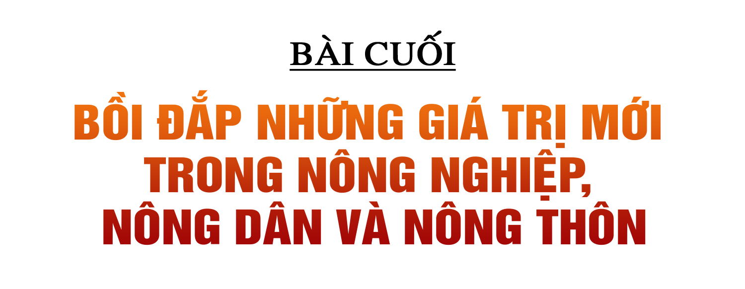 Xây dựng NTM ở Hà Tĩnh: Đi vào chiều sâu, hiệu quả và bền vững (Bài 4): Bồi đắp những giá trị mới trong nông nghiệp, nông dân và nông thôn