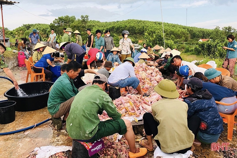 Ngành chuyên môn khuyến cáo gì sau 2 “tai nạn” tại các trang trại nuôi gà ở Hà Tĩnh?