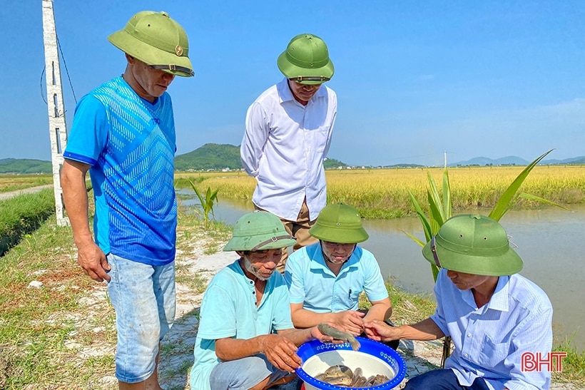 Anh nông dân bám đất, bám ruộng, tìm hướng phát triển kinh tế mới