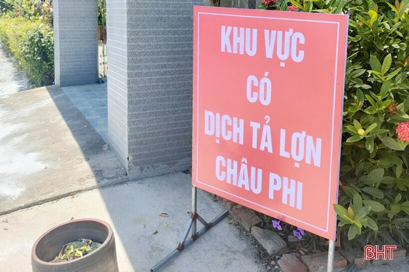 Cẩm Xuyên xuất hiện dịch tả lợn châu Phi