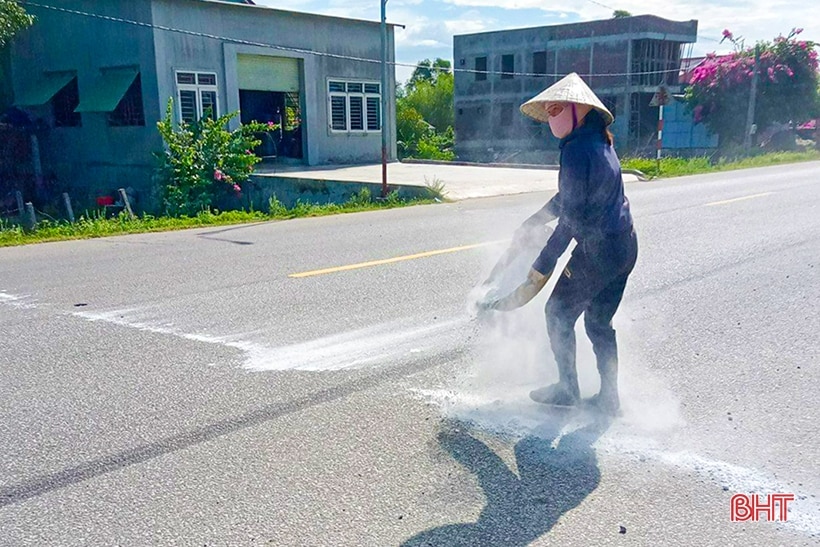 Xuất hiện dịch tả lợn châu Phi, Hà Tĩnh chủ động phòng chống