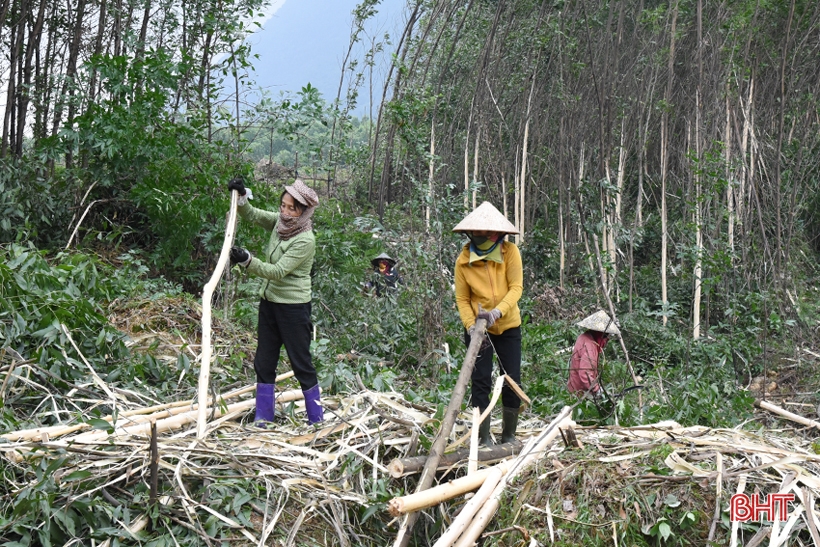 Lộc Hà chú trọng phát triển sản xuất vùng ven chân núi Hồng Lĩnh