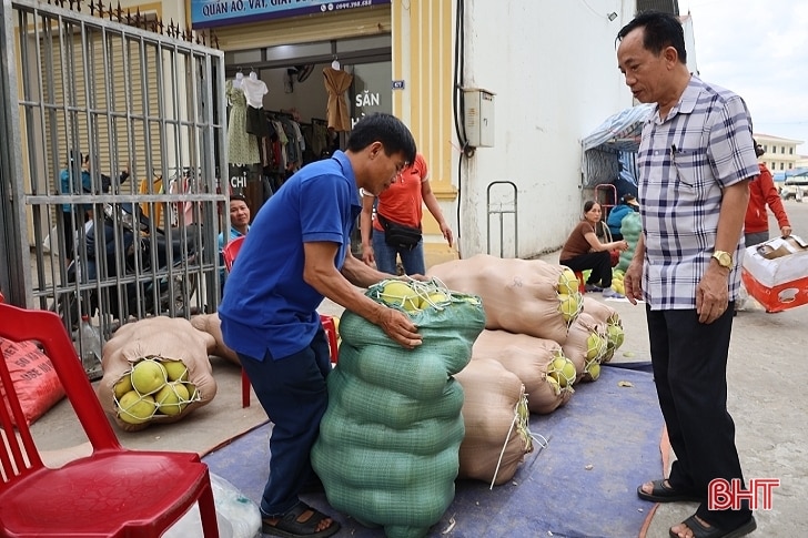 Đặc sản bưởi Phúc Trạch xuống phố