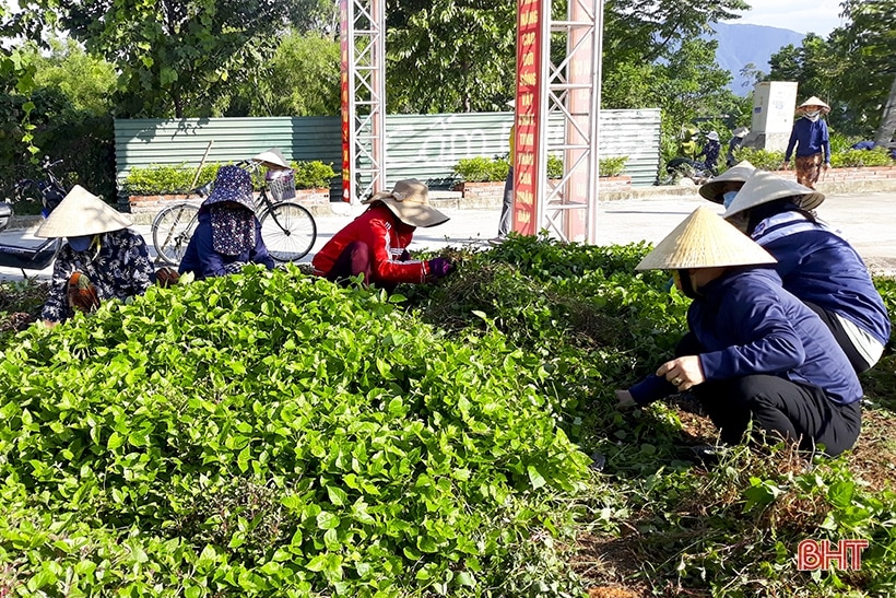 Dấu ấn các nữ thủ lĩnh” trong phong trào xây dựng nông thôn mới