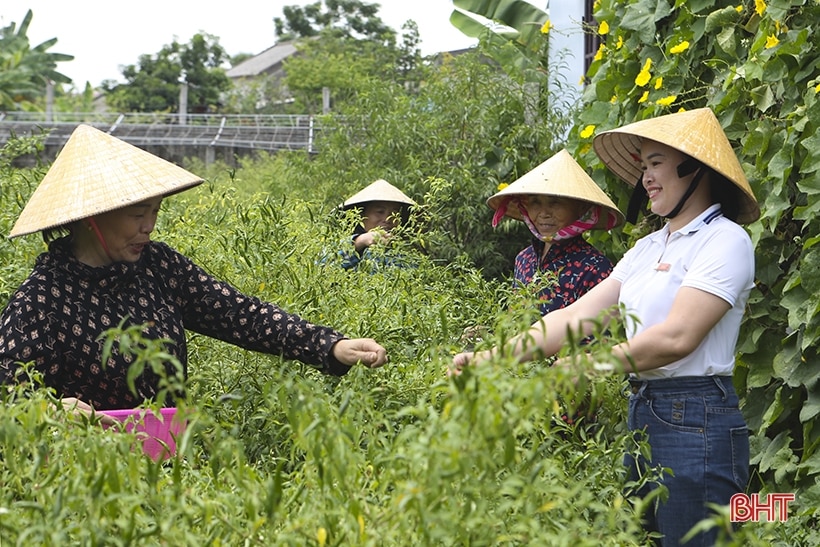 Dấu ấn các nữ thủ lĩnh” trong phong trào xây dựng nông thôn mới