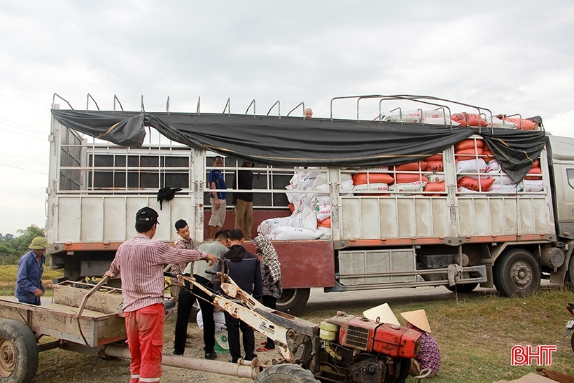 Nông dân Hà Tĩnh thu hoạch sớm lúa hè thu