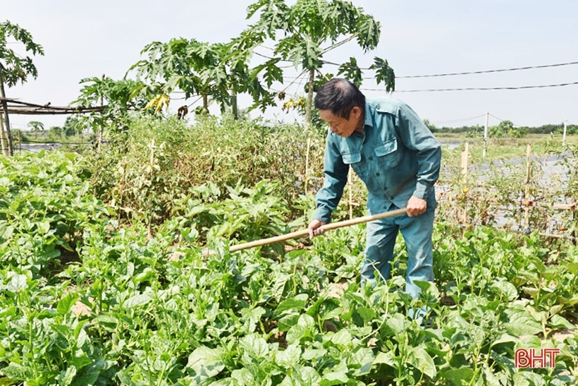 Người bệnh binh “còn sức còn cống hiến, còn làm việc”