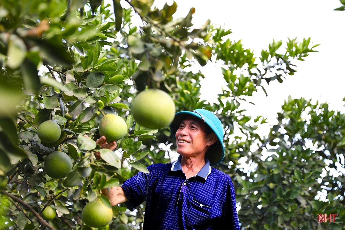 Không gian thanh bình nơi miền quê nông thôn mới ở thị xã Kỳ Anh