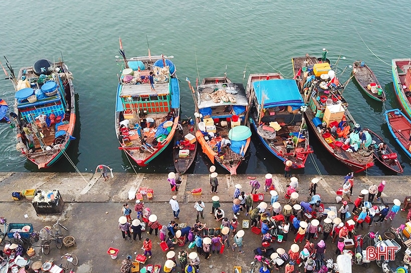 Hà Tĩnh nỗ lực chống khai thác thủy sản bất hợp pháp