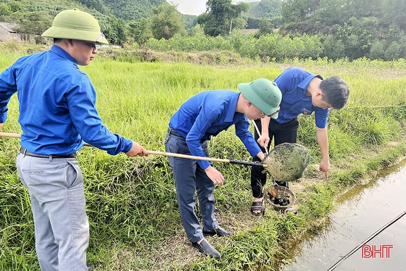 Tuổi trẻ Vũ Quang lắp đặt đường điện, ra mắt mô hình kinh tế