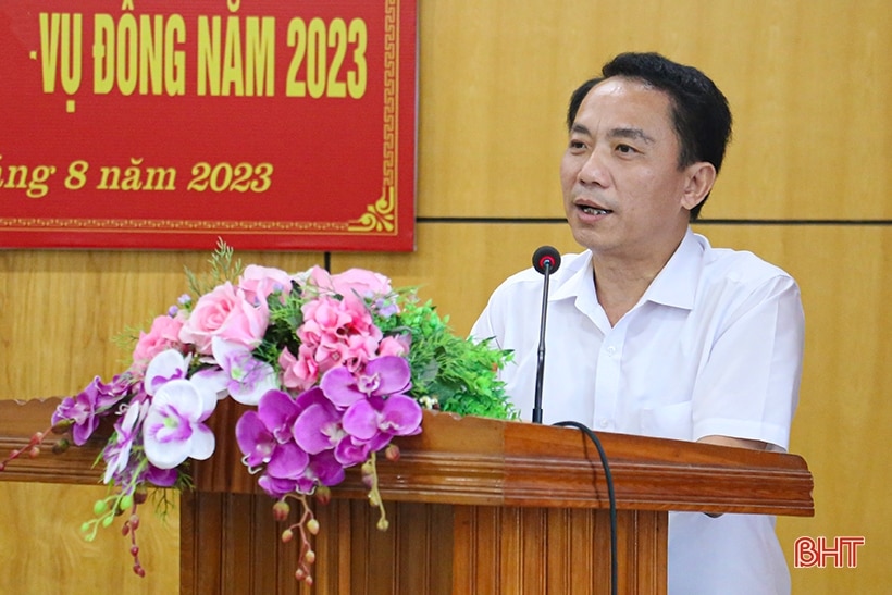 Hà Tĩnh phấn đấu diện tích gieo trồng vụ đông 2023 đạt gần 11.900 ha