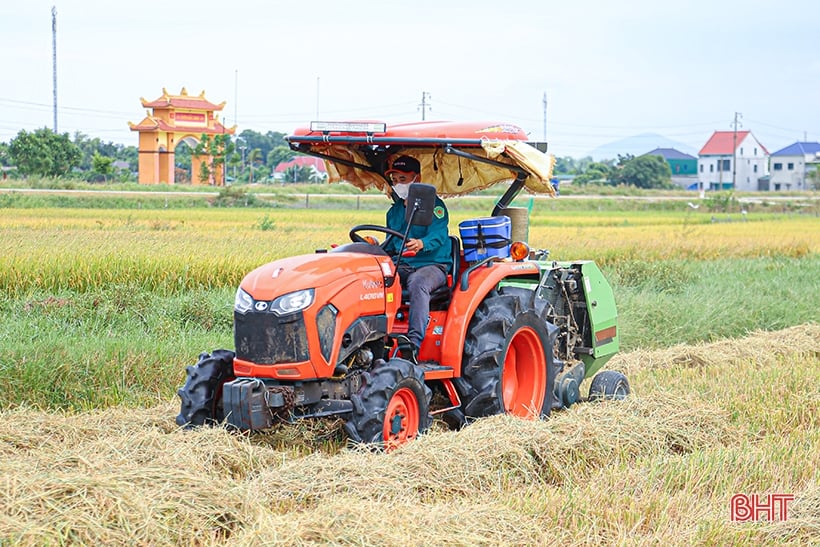 Nông dân Hà Tĩnh phấn khởi xuống đồng thu hoạch lúa hè thu