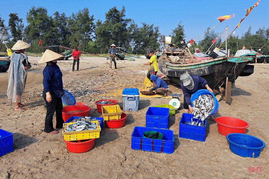 Mừng Quốc khánh, ngư dân Nghi Xuân hăng say bám biển