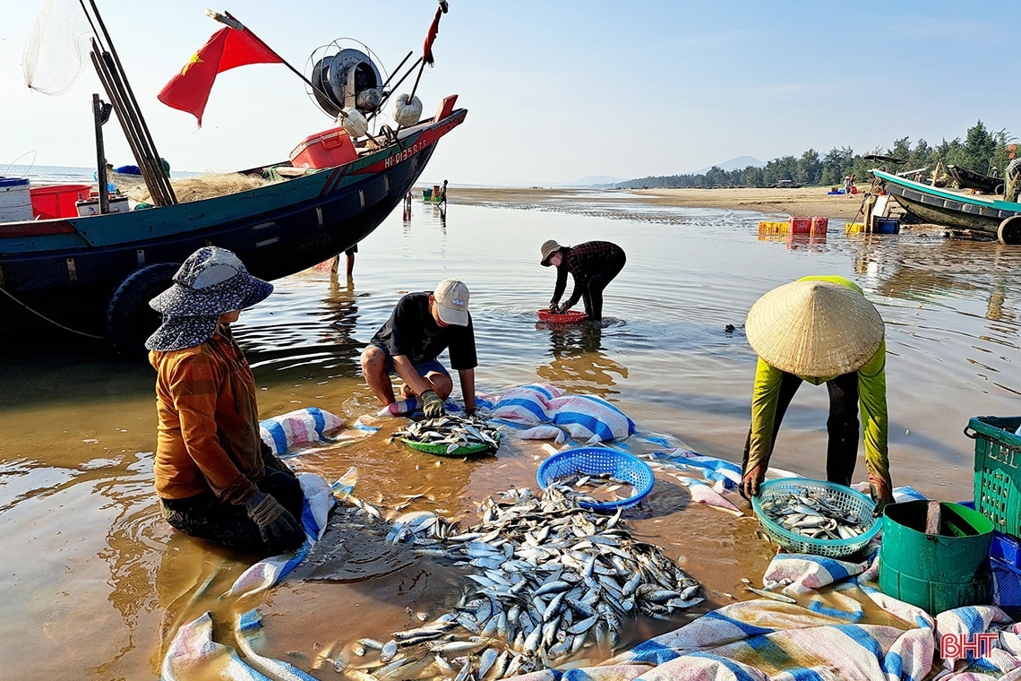 Mừng Quốc khánh, ngư dân Nghi Xuân hăng say bám biển