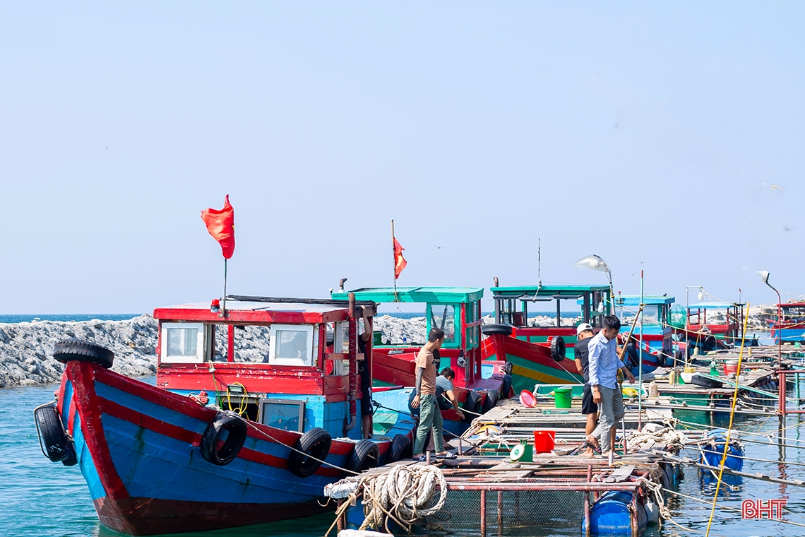 Mực nhảy Vũng Áng - món ăn không thể bỏ qua trong dịp lễ