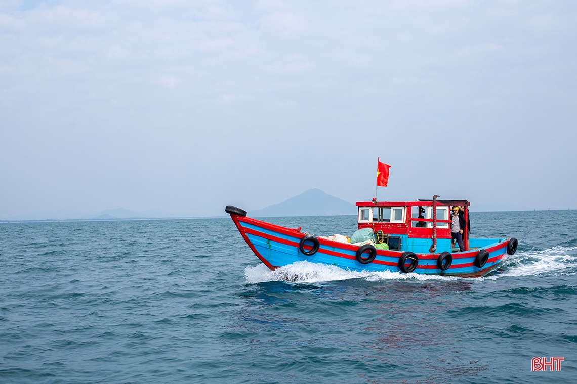 Mực nhảy Vũng Áng - món ăn không thể bỏ qua trong dịp lễ