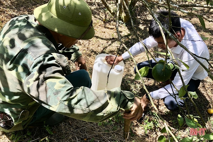 Thi đua chào mừng đại hội hội nông dân các cấp ở Hà Tĩnh