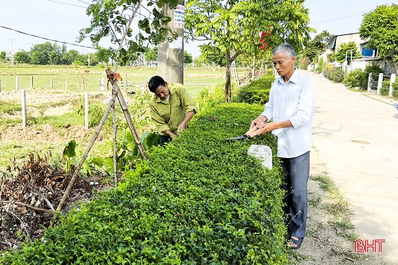 Thăm khu dân cư nông thôn mới kiểu mẫu Vĩnh Đại