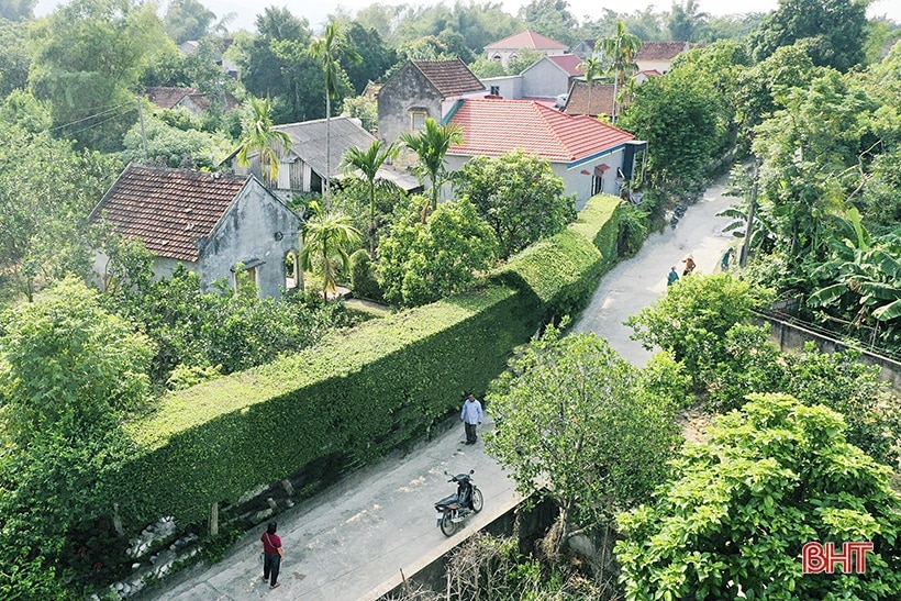 Thăm khu dân cư nông thôn mới kiểu mẫu Vĩnh Đại