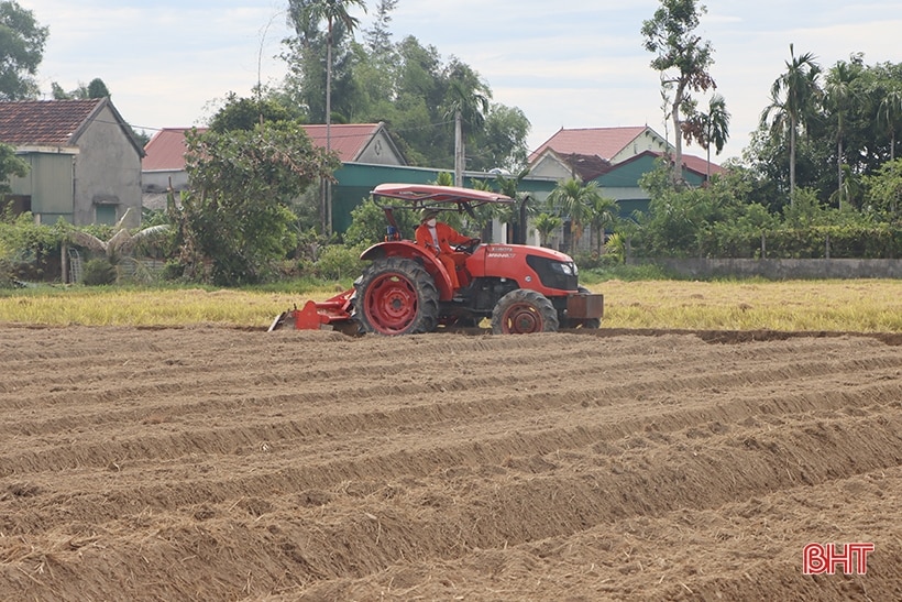 Hà Tĩnh khởi động sản xuất vụ đông năm 2023