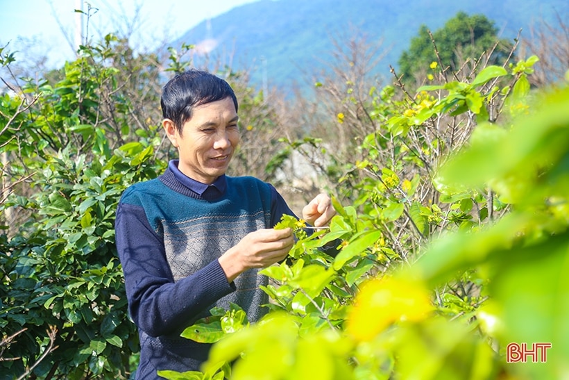 Dáng hình thành phố tương lai phía Nam Hà Tĩnh