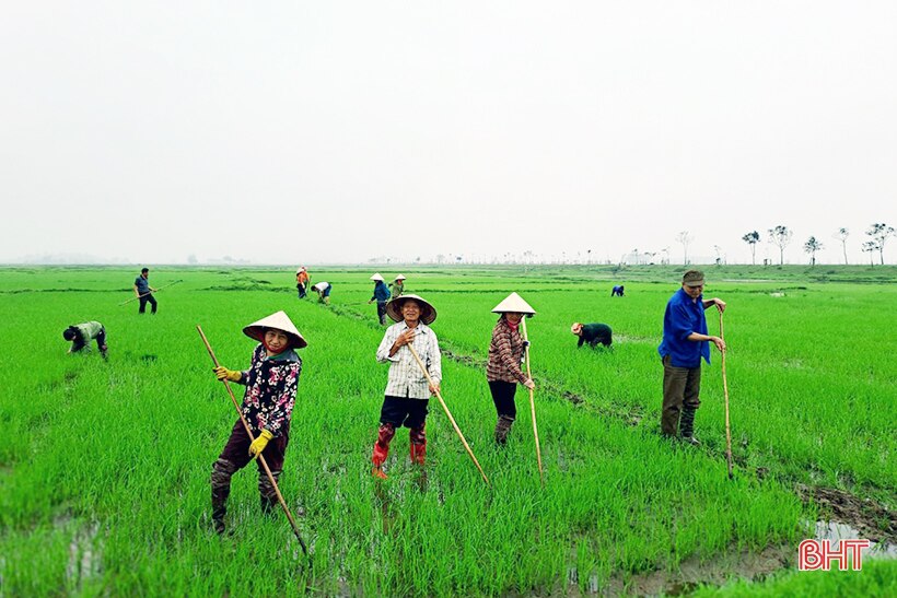 Sáng tạo trong gây quỹ hoạt động của chi hội nông dân ở Hà Tĩnh