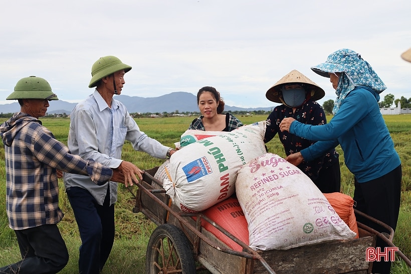 Hà Tĩnh cơ bản thu hoạch xong lúa hè thu 2023